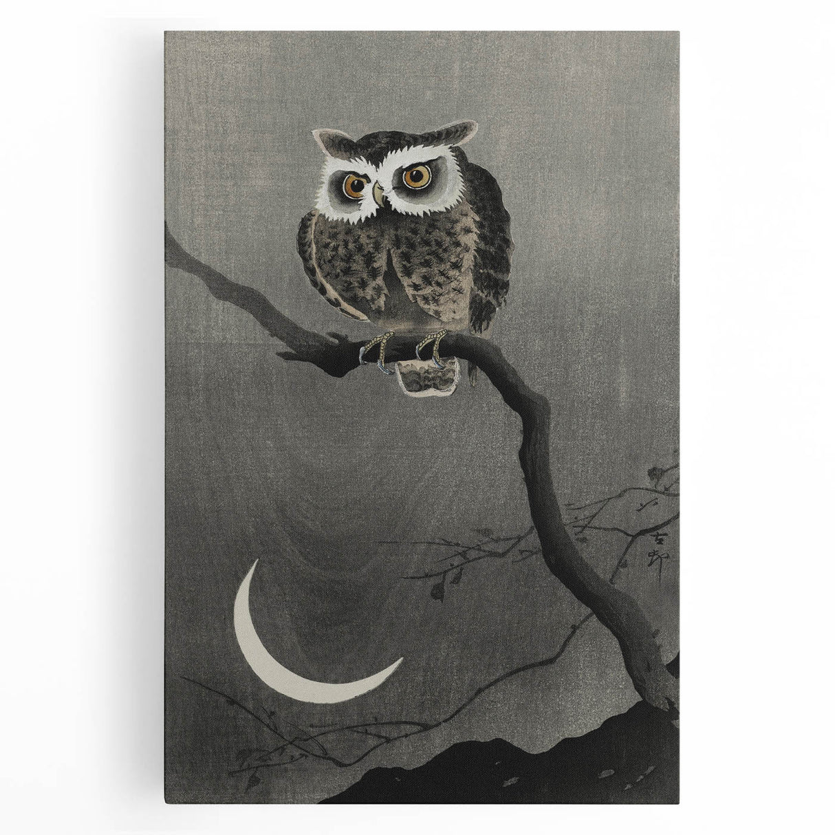 Dark Moody Wall Art - Night Owl and Crescent Moon for Dramatic Spaces