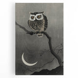 Dark Moody Wall Art - Night Owl and Crescent Moon for Dramatic Spaces