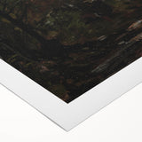 Dark Moody Wall Art - Serene Forest Landscape for Dramatic Interiors