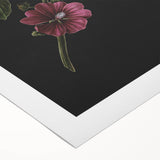 Dark Moody Wall Art - Elegant Botanical Illustration for Refined Decor
