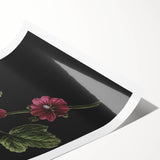 Dark Moody Wall Art - Elegant Botanical Illustration for Refined Decor