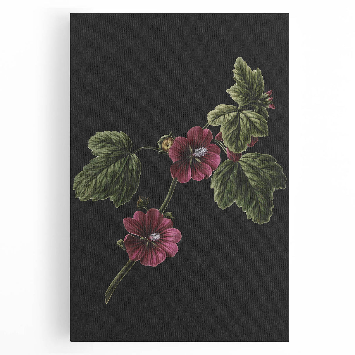 Dark Moody Wall Art - Elegant Botanical Illustration for Refined Decor