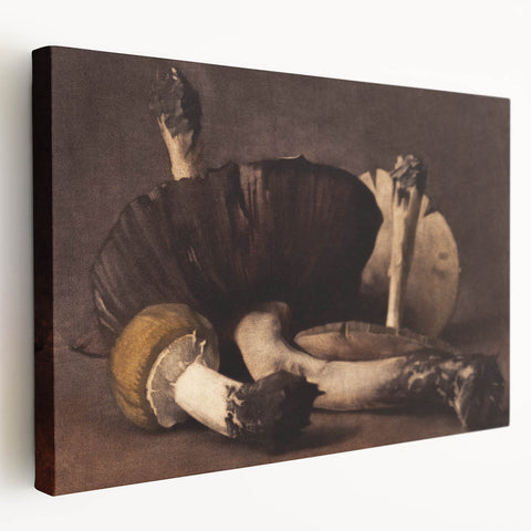 Dark Moody Wall Art: Atmospheric Mushroom Still Life - Moody Art Print
