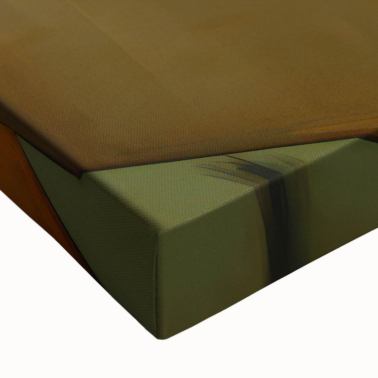 Electric Art Canvas - Abstract Portrait in Green and Burnt Orange