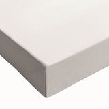 Electric Wall Art | Vibrant Floral Shelf Modern Electric Art Canvas