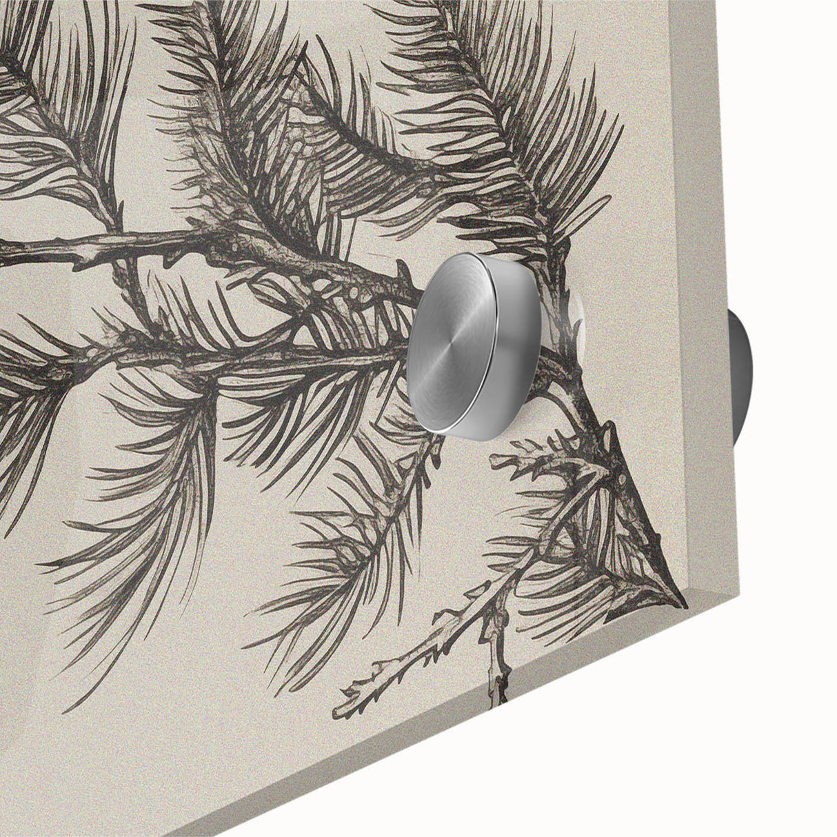 Electric Wall Art - Botanical Sketch of Pine Branch - Minimalist Decor