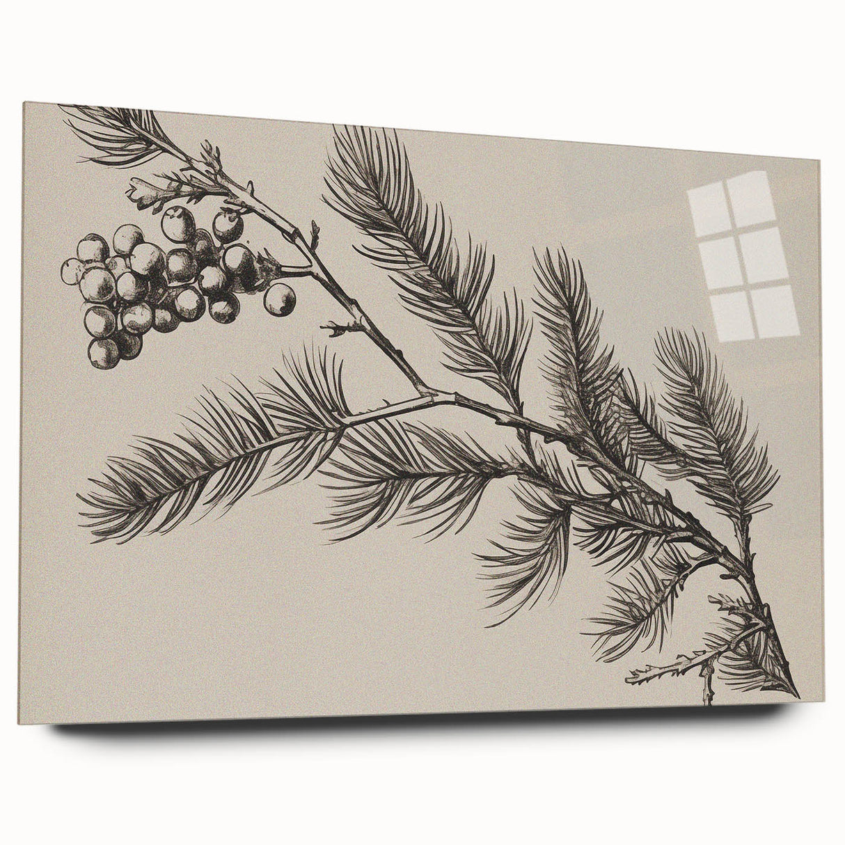 Electric Wall Art - Botanical Sketch of Pine Branch - Minimalist Decor