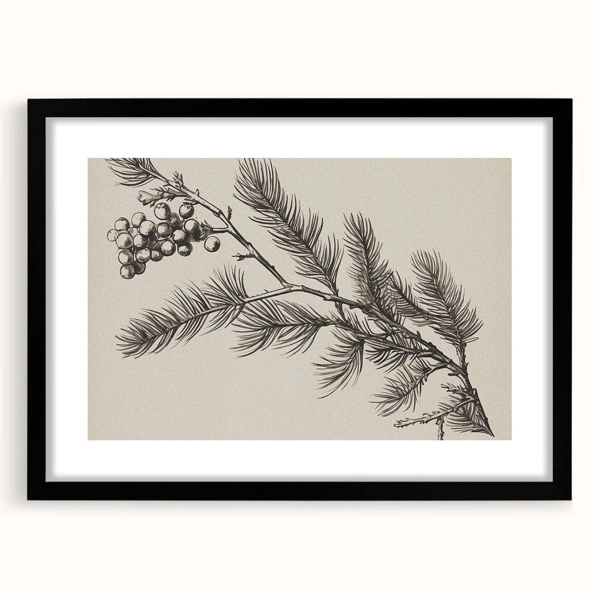 Electric Wall Art - Botanical Sketch of Pine Branch - Minimalist Decor
