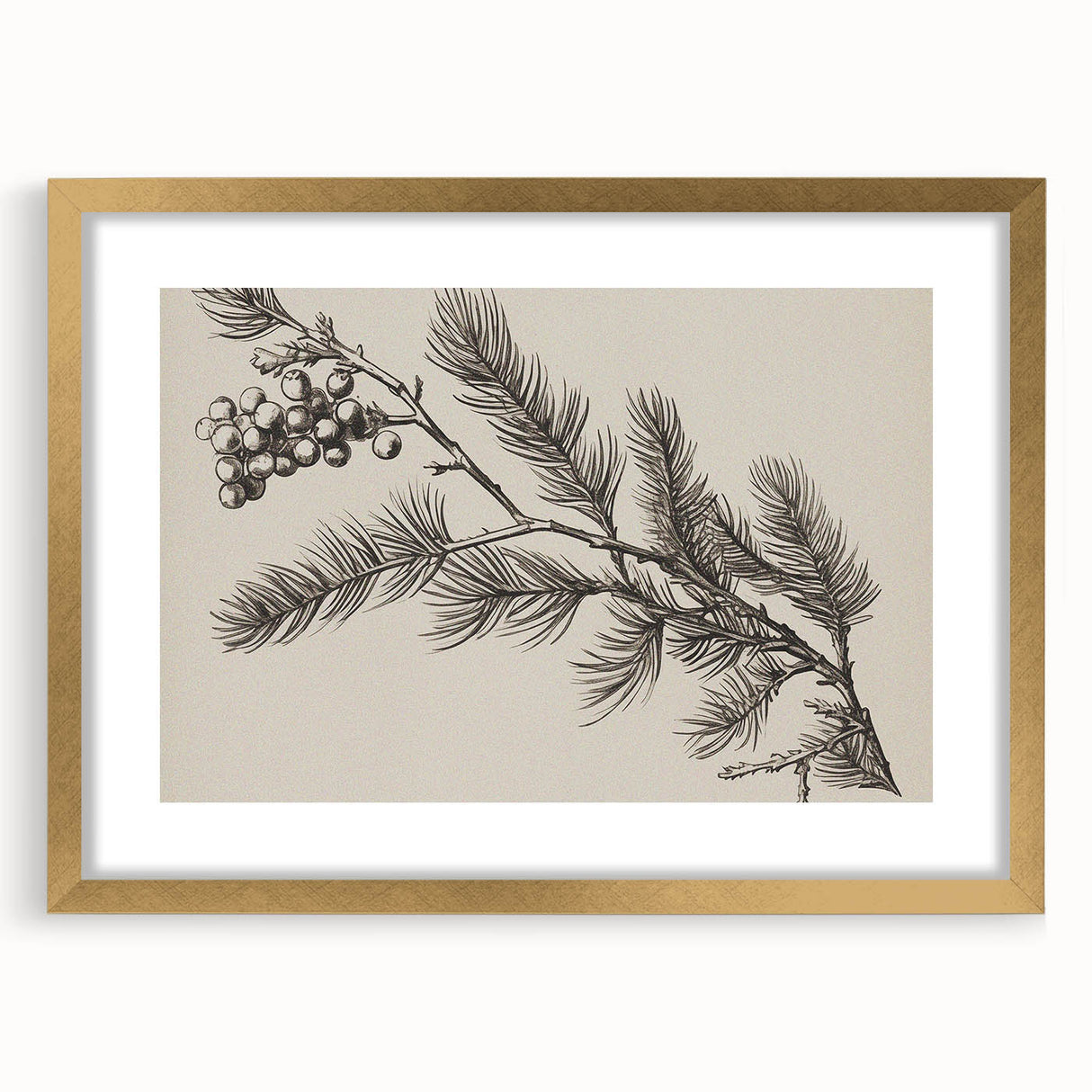 Electric Wall Art - Botanical Sketch of Pine Branch - Minimalist Decor