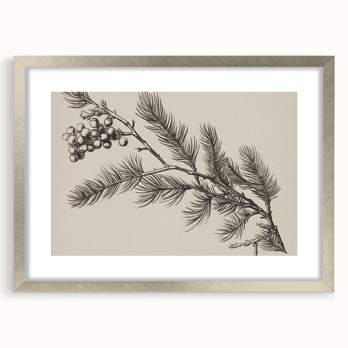 Electric Wall Art - Botanical Sketch of Pine Branch - Minimalist Decor