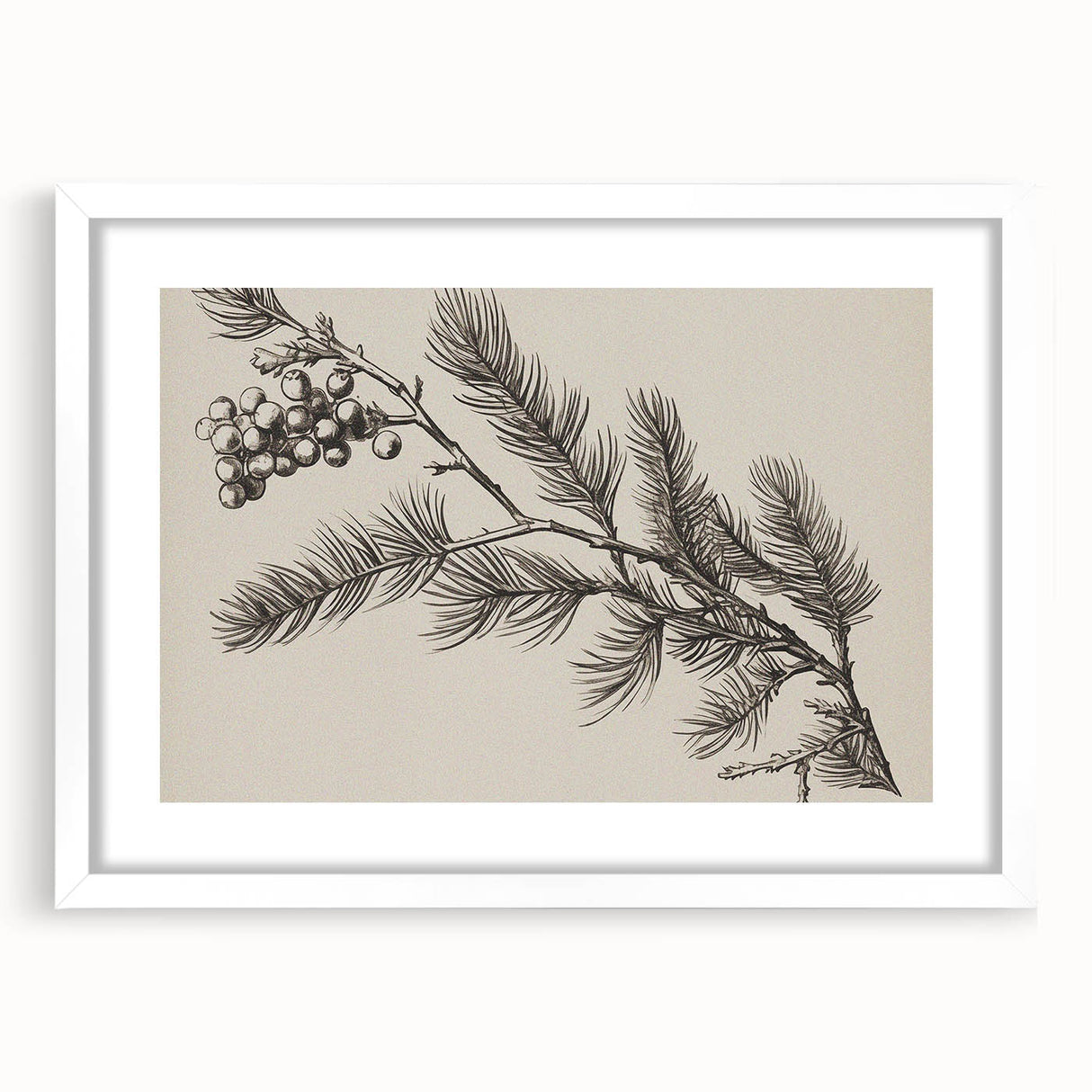 Electric Wall Art - Botanical Sketch of Pine Branch - Minimalist Decor