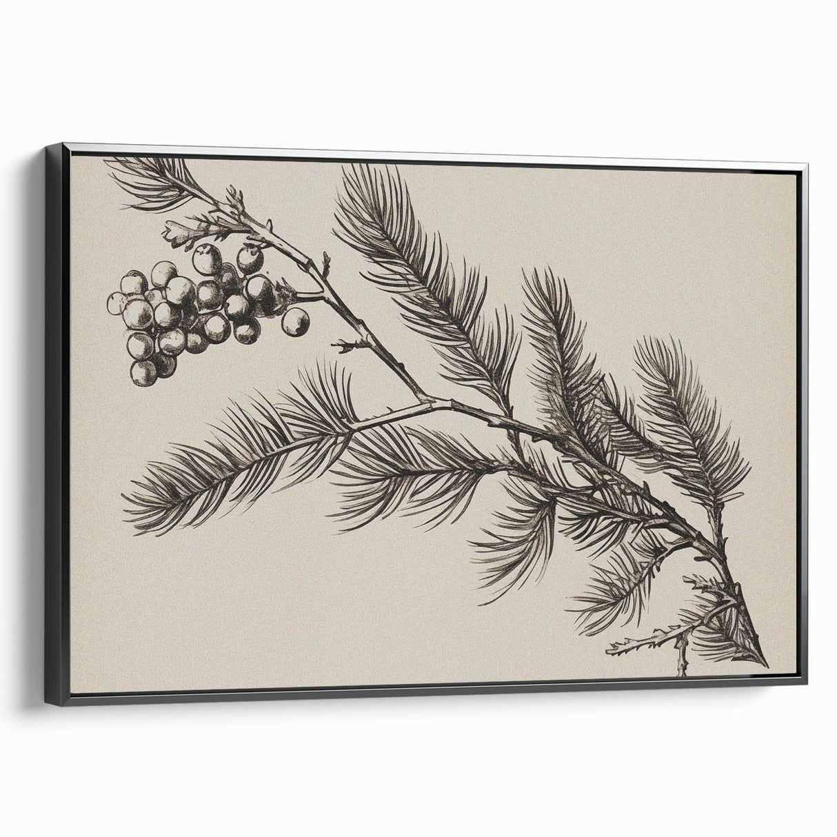 Electric Wall Art - Botanical Sketch of Pine Branch - Minimalist Decor