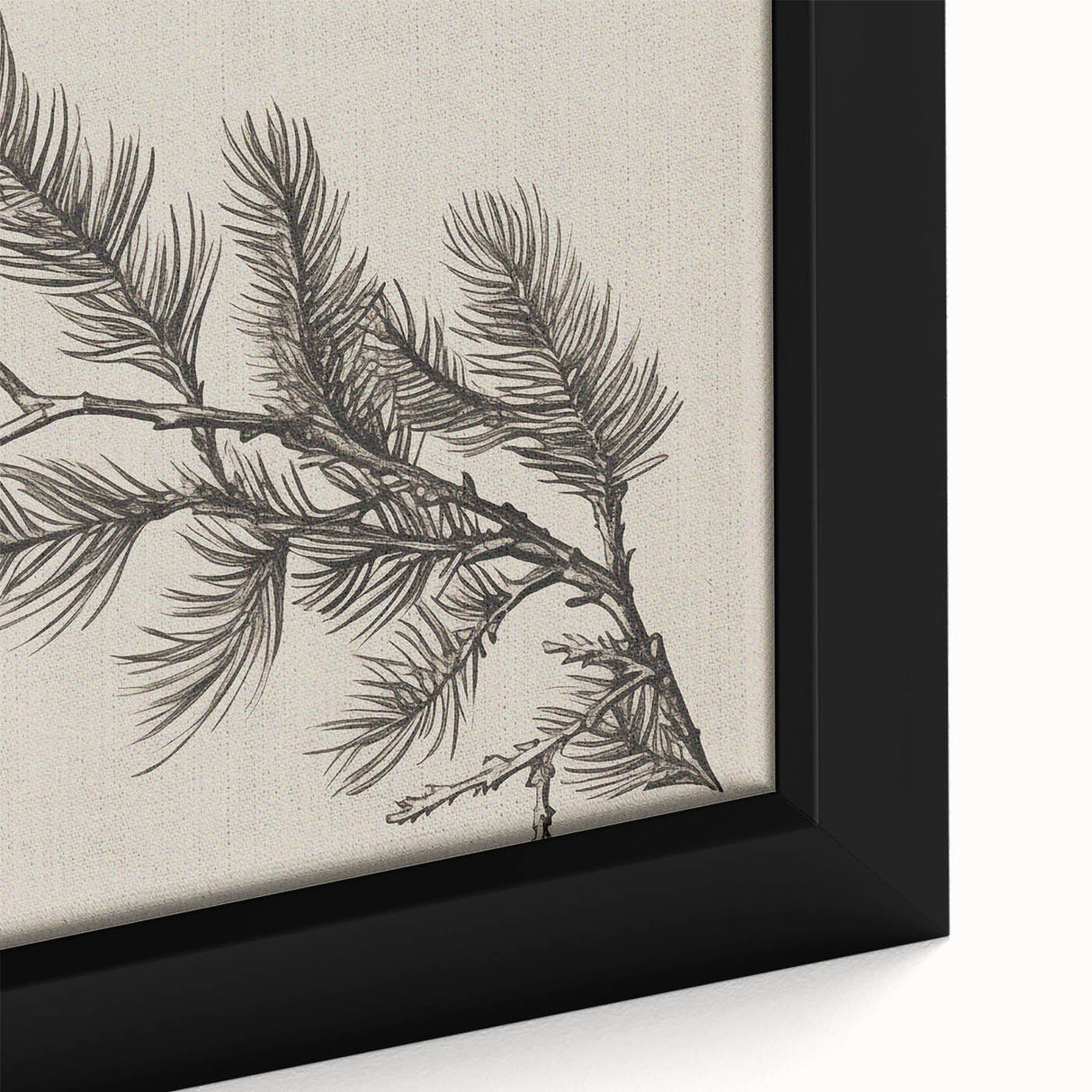 Electric Wall Art - Botanical Sketch of Pine Branch - Minimalist Decor