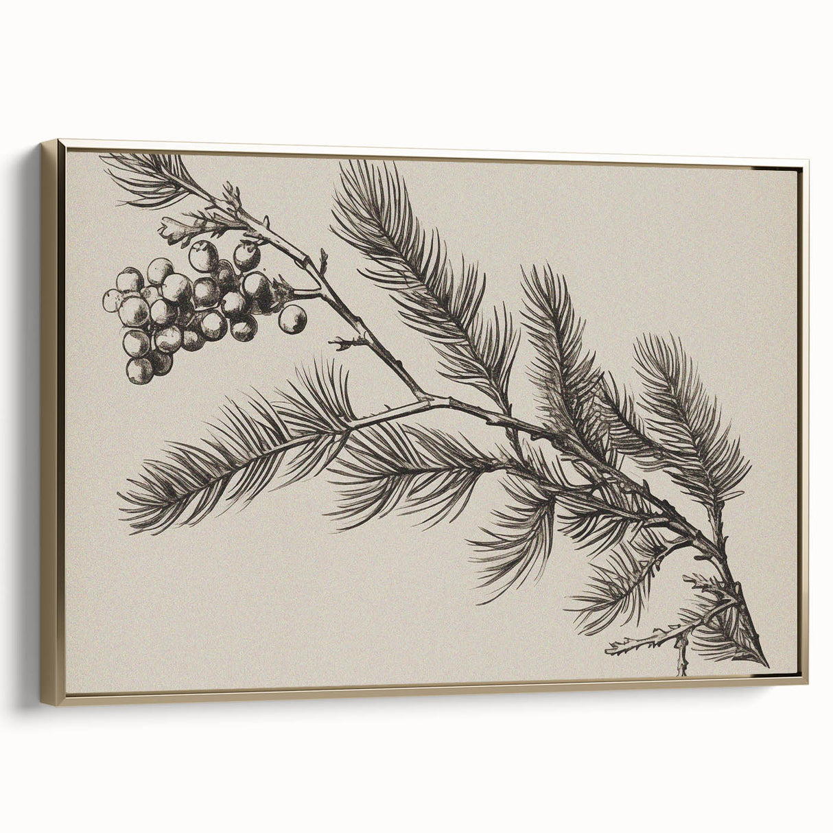 Electric Wall Art - Botanical Sketch of Pine Branch - Minimalist Decor