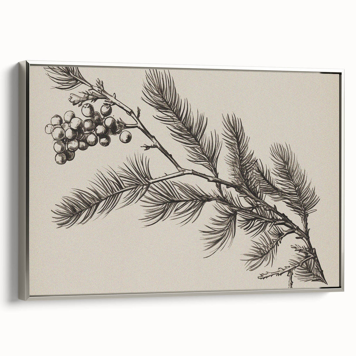 Electric Wall Art - Botanical Sketch of Pine Branch - Minimalist Decor
