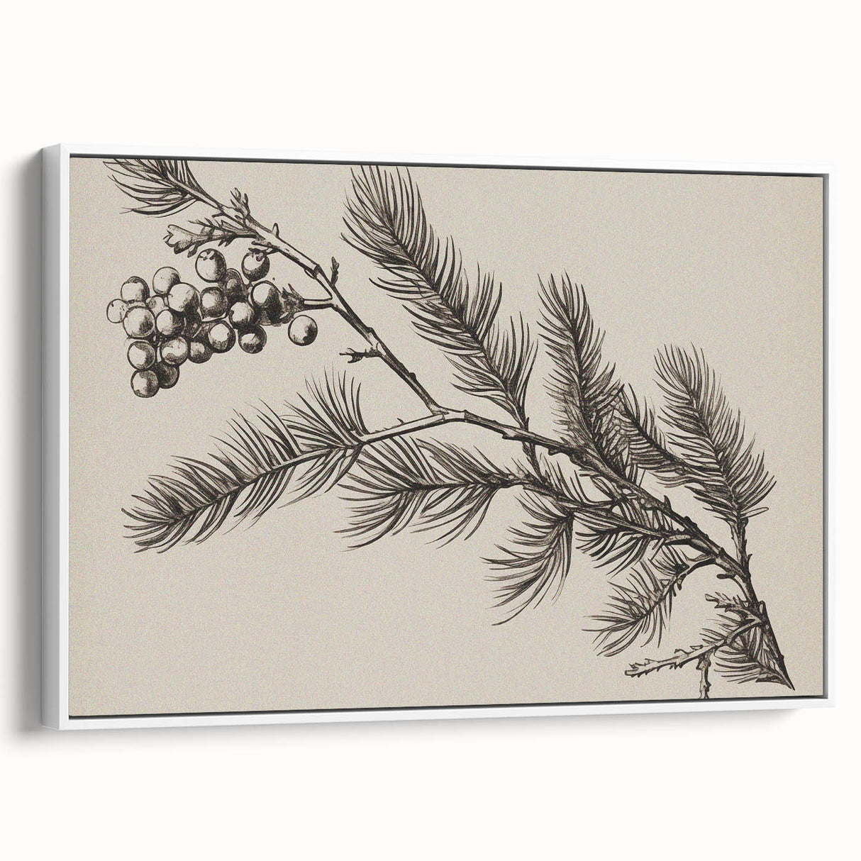 Electric Wall Art - Botanical Sketch of Pine Branch - Minimalist Decor