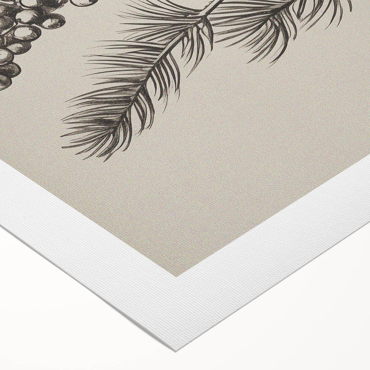 Electric Wall Art - Botanical Sketch of Pine Branch - Minimalist Decor