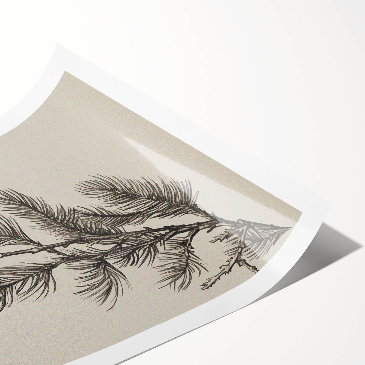 Electric Wall Art - Botanical Sketch of Pine Branch - Minimalist Decor