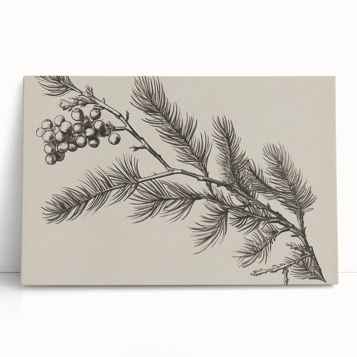 Electric Wall Art - Botanical Sketch of Pine Branch - Minimalist Decor