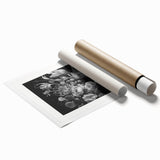 Electric Wall Art – Botanical Garden Black and White Modern Electric Decor