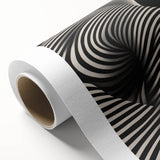 Modern Electric Wall Art - Abstract Black and White Electric Canvas