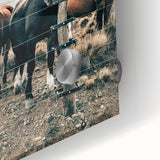 Farmhouse Wall Art: Country Horses in Rustic Landscape for Farmhouse Decor