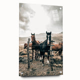 Farmhouse Wall Art: Country Horses in Rustic Landscape for Farmhouse Decor