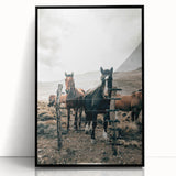 Farmhouse Wall Art: Country Horses in Rustic Landscape for Farmhouse Decor