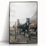 Farmhouse Wall Art: Country Horses in Rustic Landscape for Farmhouse Decor