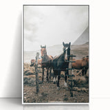Farmhouse Wall Art: Country Horses in Rustic Landscape for Farmhouse Decor