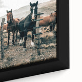 Farmhouse Wall Art: Country Horses in Rustic Landscape for Farmhouse Decor