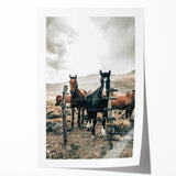 Farmhouse Wall Art: Country Horses in Rustic Landscape for Farmhouse Decor