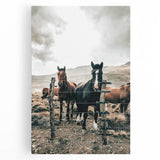 Farmhouse Wall Art: Country Horses in Rustic Landscape for Farmhouse Decor