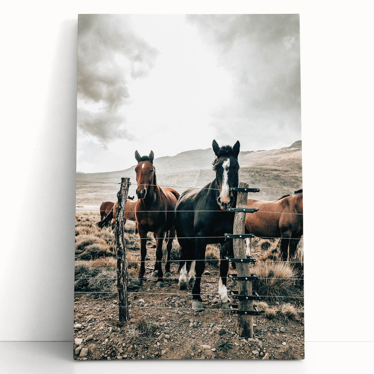 Farmhouse Wall Art: Country Horses in Rustic Landscape for Farmhouse Decor