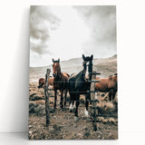 Farmhouse Wall Art: Country Horses in Rustic Landscape for Farmhouse Decor