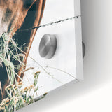 Farmhouse Wall Art: Grazing Horse Close-Up for Rustic Country Home Decor
