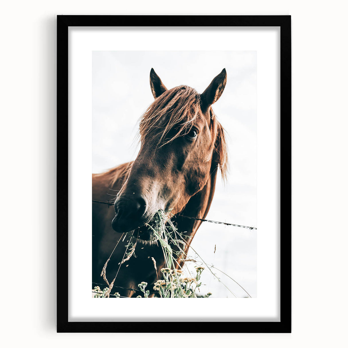 Farmhouse Wall Art: Grazing Horse Close-Up for Rustic Country Home Decor