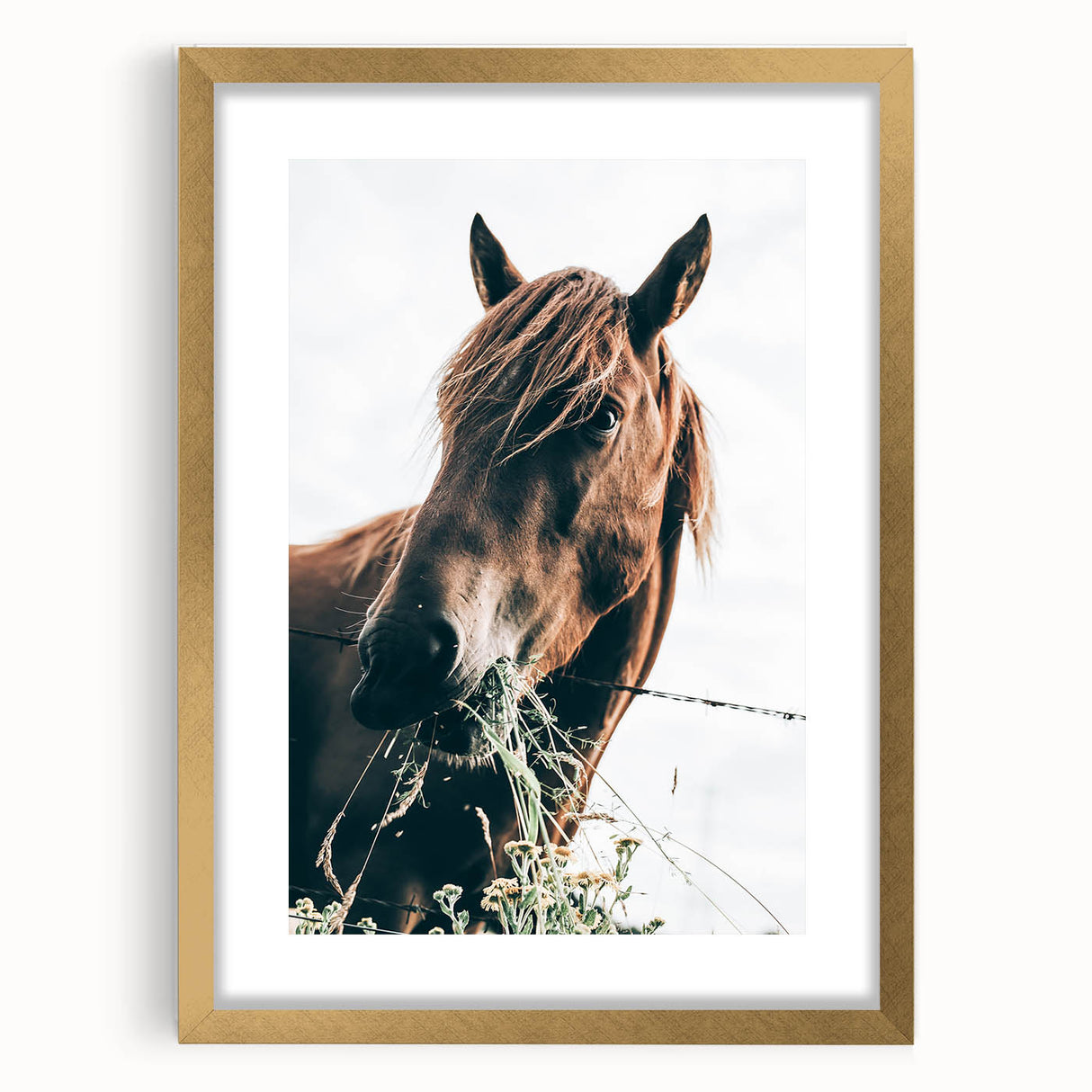 Farmhouse Wall Art: Grazing Horse Close-Up for Rustic Country Home Decor
