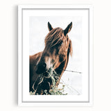 Farmhouse Wall Art: Grazing Horse Close-Up for Rustic Country Home Decor