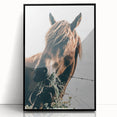 Farmhouse Wall Art: Grazing Horse Close-Up for Rustic Country Home Decor