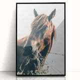 Farmhouse Wall Art: Grazing Horse Close-Up for Rustic Country Home Decor