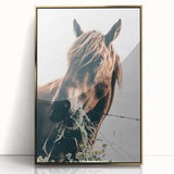 Farmhouse Wall Art: Grazing Horse Close-Up for Rustic Country Home Decor