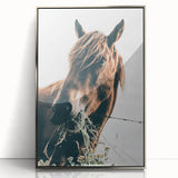 Farmhouse Wall Art: Grazing Horse Close-Up for Rustic Country Home Decor