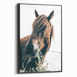 Farmhouse Wall Art: Grazing Horse Close-Up for Rustic Country Home Decor