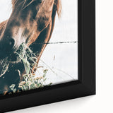 Farmhouse Wall Art: Grazing Horse Close-Up for Rustic Country Home Decor