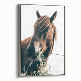 Farmhouse Wall Art: Grazing Horse Close-Up for Rustic Country Home Decor