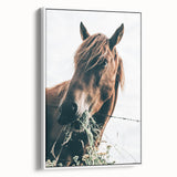 Farmhouse Wall Art: Grazing Horse Close-Up for Rustic Country Home Decor