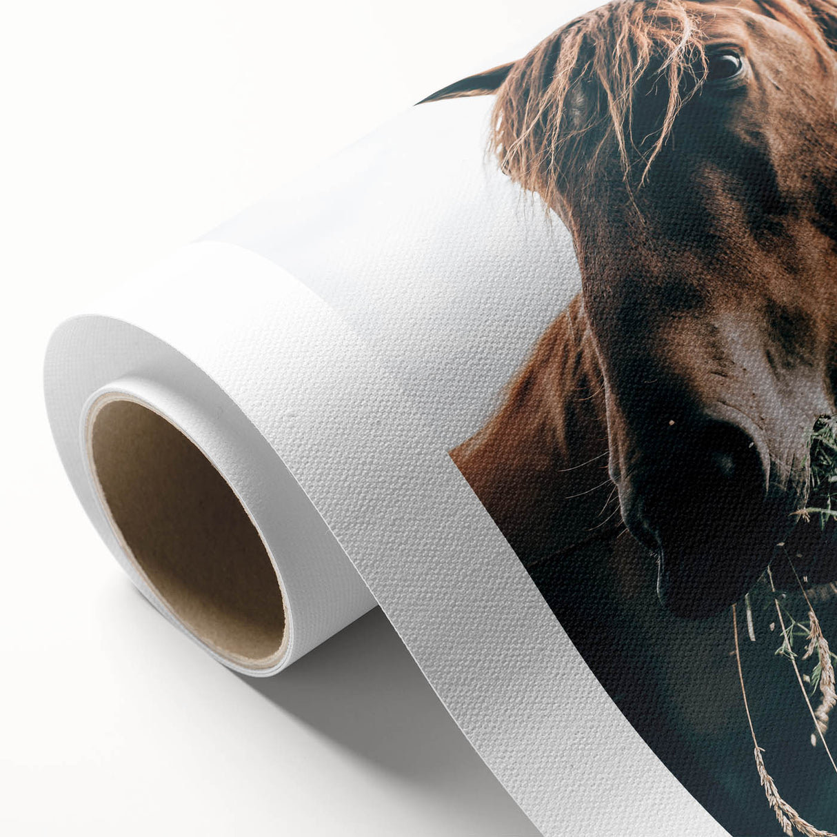 Farmhouse Wall Art: Grazing Horse Close-Up for Rustic Country Home Decor