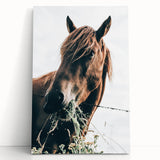 Farmhouse Wall Art: Grazing Horse Close-Up for Rustic Country Home Decor