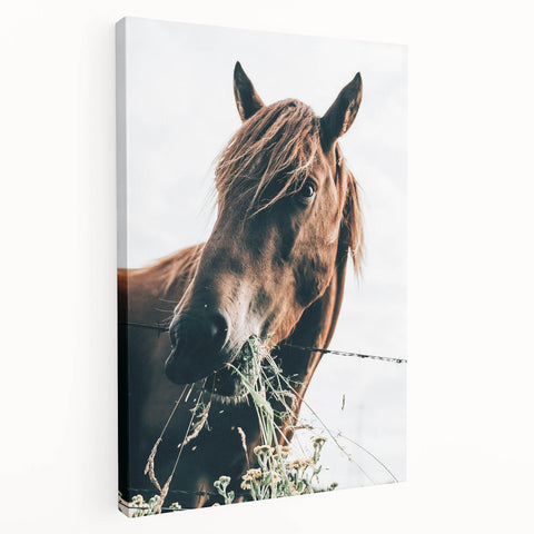 Farmhouse Wall Art: Grazing Horse Close-Up for Rustic Country Home Decor